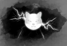 هل حيتان SHIB خائفة من "تصريف ريوشي"؟ مليارات من عملات Shiba Inu تُرسل إلى Binance مجددًا