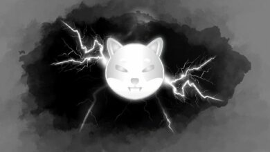 هل حيتان SHIB خائفة من "تصريف ريوشي"؟ مليارات من عملات Shiba Inu تُرسل إلى Binance مجددًا