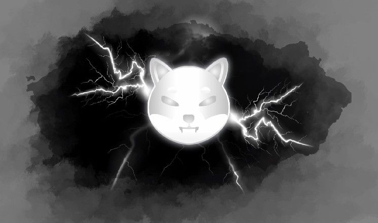 هل حيتان SHIB خائفة من "تصريف ريوشي"؟ مليارات من عملات Shiba Inu تُرسل إلى Binance مجددًا