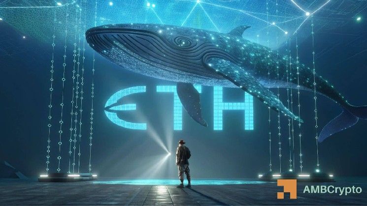 حوت إيثريوم يراهن بـ13 مليون دولار على ETH رغم خسائر 33 مليون دولار – إليك السبب
