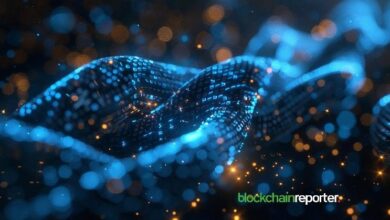 فيراسيتي تطلق $PLRL على Base لإنشاء طبقة إنصاف إنترنت جديدة