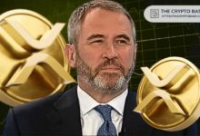 ريبل كيو سي: ربما نفعل "شيئًا مميزًا" لحاملي XRP بعد الطرح العام الأولي