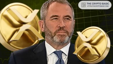 ريبل كيو سي: ربما نفعل "شيئًا مميزًا" لحاملي XRP بعد الطرح العام الأولي