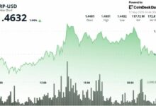 **XRP المرتبط بـ Ripple يستقر قرب 1.46 دولار مع تلاشي محاولة الاختراق رغم جمع 200 مليون دولار**
