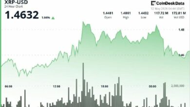 **XRP المرتبط بـ Ripple يستقر قرب 1.46 دولار مع تلاشي محاولة الاختراق رغم جمع 200 مليون دولار**