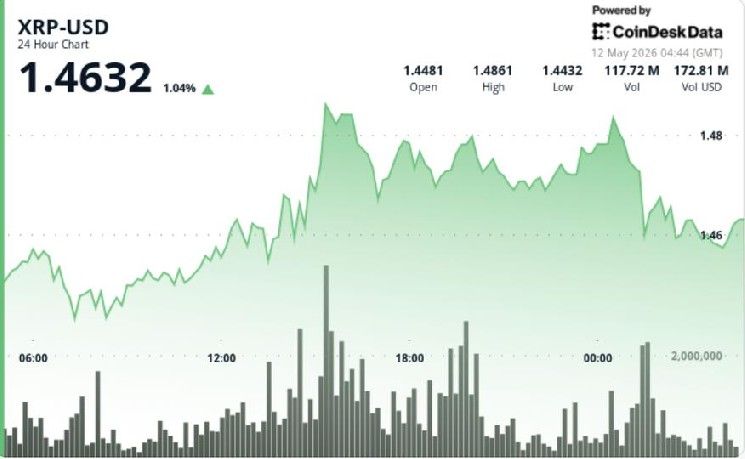 **XRP المرتبط بـ Ripple يستقر قرب 1.46 دولار مع تلاشي محاولة الاختراق رغم جمع 200 مليون دولار**