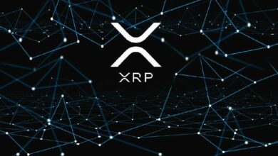 نشاط مدفوعات XRP ينهار 80% قبل عطلة نهاية الأسبوع: لماذا يجب على المتداولين الانتباه