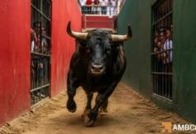 الارتفاع الحالي في العملات الرقمية هو تحول مدفوع بالسرد، وليس دورة صاعدة: إليك السبب