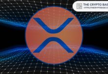 رئيس Ripple يتوقع تسوية السندات على السلسلة مع XRP.. والأمر يتحقق الآن