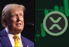 أمر ترامب الجديد قد يغير مصير XRP للأبد