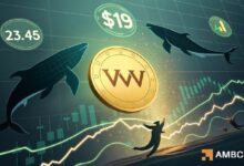 اختبار VVV لمقاومة 19 دولارًا: هل يؤدي تراكم الحيتان إلى اختراق محتمل؟