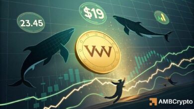 اختبار VVV لمقاومة 19 دولارًا: هل يؤدي تراكم الحيتان إلى اختراق محتمل؟