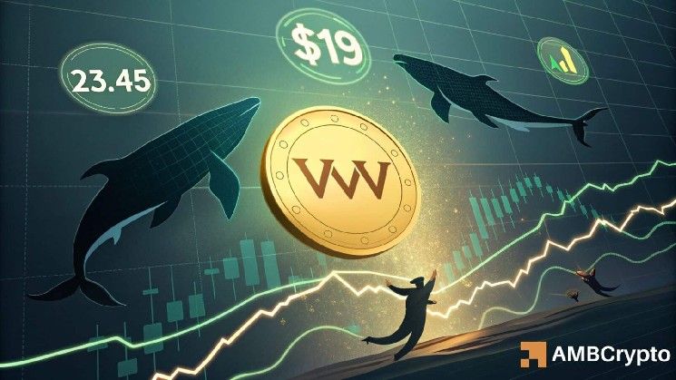 اختبار VVV لمقاومة 19 دولارًا: هل يؤدي تراكم الحيتان إلى اختراق محتمل؟