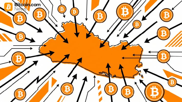 تحويلات السلفادور المشفرة تصل إلى 17.38 مليون دولار