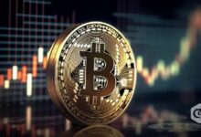 بيتكوين يسجل ندرة تمويل لعشر سنوات – التاريخ يشير إلى التعافي
