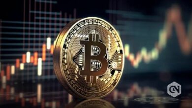 بيتكوين يسجل ندرة تمويل لعشر سنوات – التاريخ يشير إلى التعافي