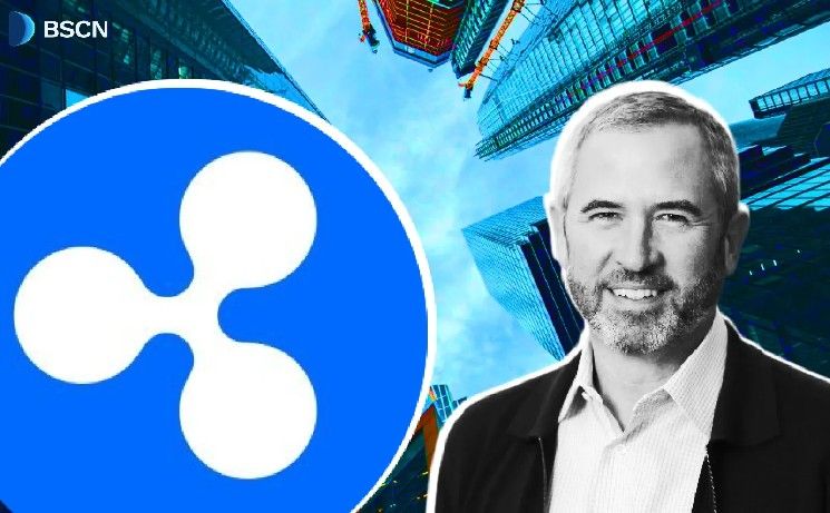 المؤسسات المالية: ما هي خدمة الوساطة الأولية من ريبل؟