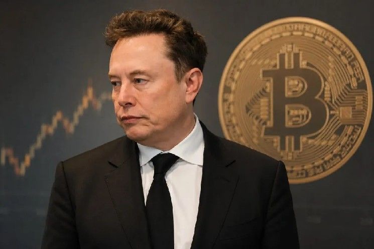 إيلون ماسك يطلق تصريحات مفاجئة حول العملات الرقمية: “بعضها له قيمة، لكن معظمها احتيال”