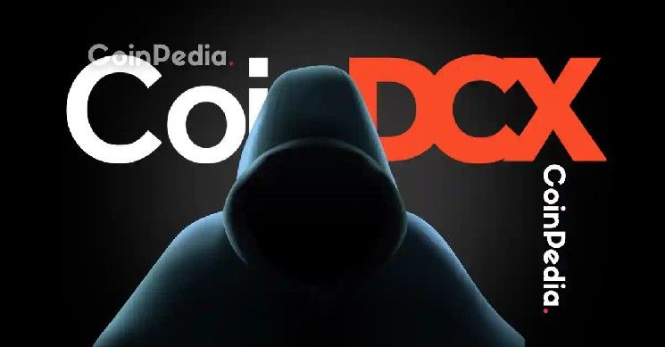 ذكاء اصطناعي يساعد في استعادة 5 بيتكوين بعد 11 عامًا، ورئيس CoinDCX يحذر