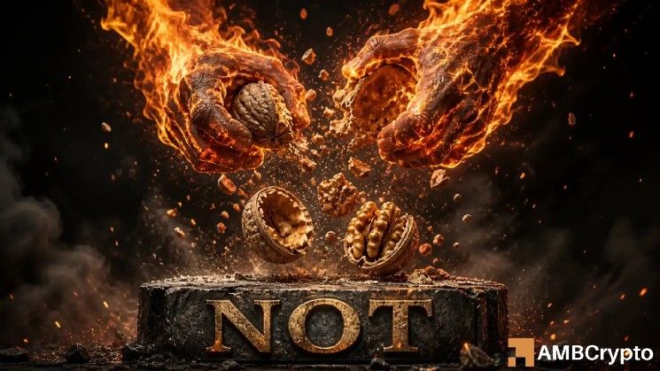 **إشارات تحذيرية من فخ صاعد رغم اختراق Notcoin لنطاق 89 يومًا**