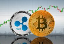 ليس فقط XRP: الرئيس التنفيذي هيجنز يشرح سبب توسع Ripple Prime في سيولة البيتكوين