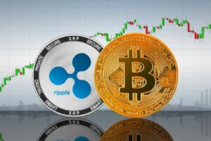 ليس فقط XRP: الرئيس التنفيذي هيجنز يشرح سبب توسع Ripple Prime في سيولة البيتكوين