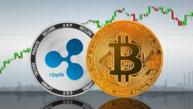 ليس فقط XRP: الرئيس التنفيذي هيجنز يشرح سبب توسع Ripple Prime في سيولة البيتكوين