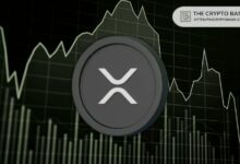 محافظ حيتان XRP تسجل أعلى مستوى في 8 سنوات مع وصول الحيازات إلى 45.83 مليار XRP