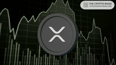 محافظ حيتان XRP تسجل أعلى مستوى في 8 سنوات مع وصول الحيازات إلى 45.83 مليار XRP
