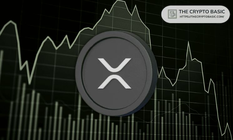 محافظ حيتان XRP تسجل أعلى مستوى في 8 سنوات مع وصول الحيازات إلى 45.83 مليار XRP