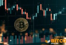 بيتكوين يهبط دون 77 ألف دولار مع خروج مليار دولار من صناديق الاستثمار المتداولة
