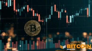 بيتكوين يهبط دون 77 ألف دولار مع خروج مليار دولار من صناديق الاستثمار المتداولة