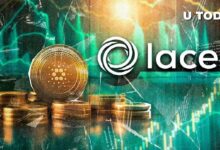 **تحديث جديد لمحفظة كاردانو Web3 استعدادًا للهارد فورك المرتقب**