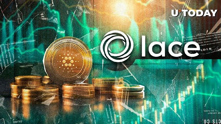 **تحديث جديد لمحفظة كاردانو Web3 استعدادًا للهارد فورك المرتقب**