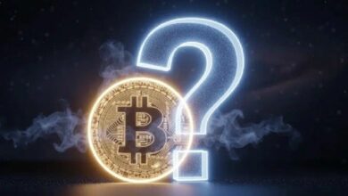 وول ستريت جورنال تكشف: "هذه العملة البديلة قد تكون البيتكوين (BTC) القادمة!"