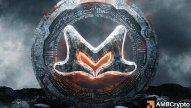 مونيرو يرتفع بنسبة 30% شهريًا: رسم مسار XMR نحو أعلى مستوى تاريخي عند 799 دولارًا