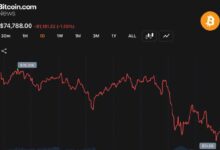 بيتكوين يهبط إلى 74,530 دولارًا وخسائر المتداولين الطويلة تبلغ 106 ملايين دولار