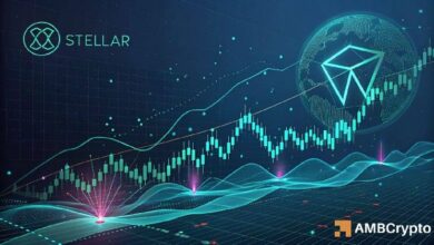 تصحيح "ستيلر" يلوح في الأفق – لكن هذين الاتجاهين يدعمان مضاربي XLM