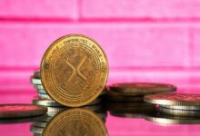 **قفزة قياسية بنسبة 300% في XRP Ledger: تحليل ما حدث للتو**
