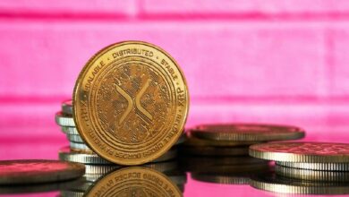 **قفزة قياسية بنسبة 300% في XRP Ledger: تحليل ما حدث للتو**