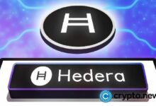 برنامج BrandBoost المدعوم من Hedera يستهدف برامج الولاء المُلعبة للمؤسسات