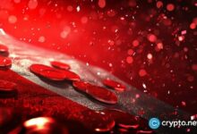 التحقيقات البولندية تعود لملاحقة العملات المشفرة بعد اتهامات بقيمة 97 مليون دولار لـ Zondacrypto