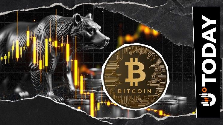 **كبار حاملي البيتكوين يحوّلون أكثر من 700 مليون دولار من BTC إلى Coinbase**