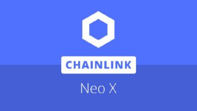 نيو إكس تطلق المراسلة عبر السلاسل ونقل الرموز عبر نشر Chainlink CCIP على الشبكة الرئيسية