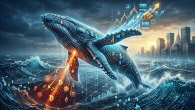 "حوت يُراهن بـ16 مليون دولار ضد بيتكوين وإيثريوم، ويضاعف استثماراته في التمويل التقليدي عبر هايبرليكويد"