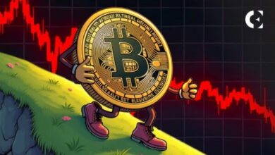 تراجع البيتكوين الأخير يطلق تحذيرات المحللين: قد تكون الخطوة التالية حاسمة