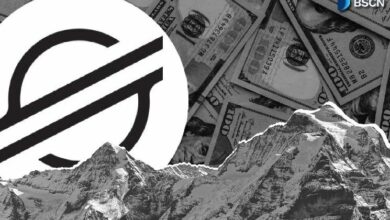 عنوان مترجم: قيمة TVL في Stellar تقترب من 200 مليون دولار.. ما السبب؟