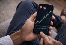 ارتفاع سعر عملة SEI المشفرة قبل ترحيل SEIEVM في 1 يونيو: المستويات الرئيسية للمراقبة