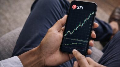 ارتفاع سعر عملة SEI المشفرة قبل ترحيل SEIEVM في 1 يونيو: المستويات الرئيسية للمراقبة