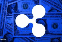 عنوان مستقر RLUSD من Ripple: مسيرة العام حتى الآن